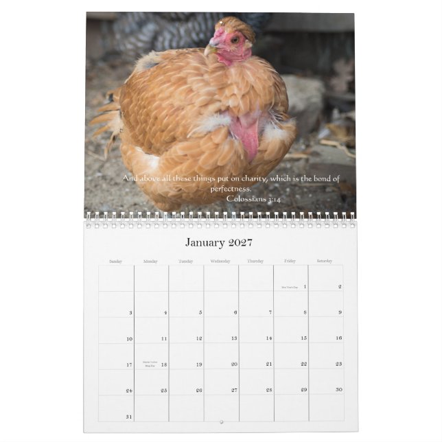 Calendrier Poulets 2014 (avec des passages de bible) (Jan 2027)