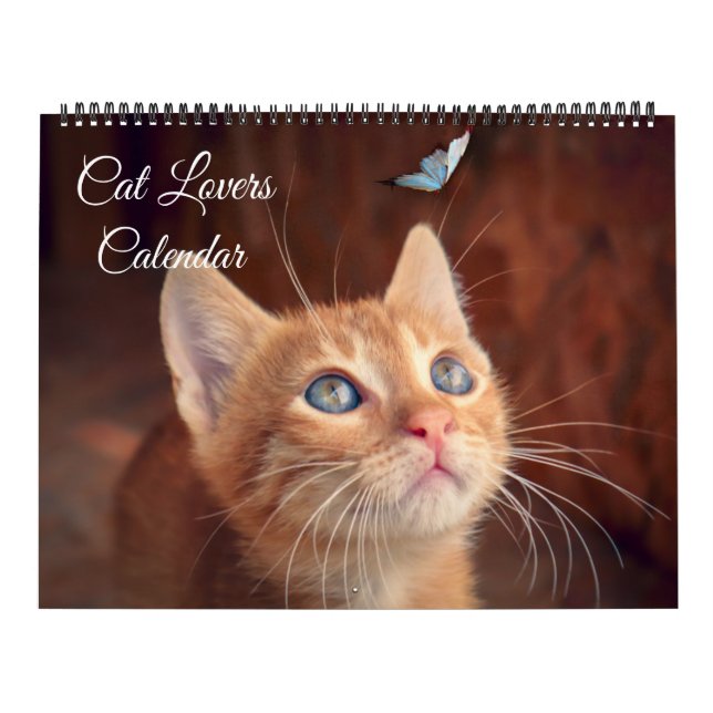 Calendrier pour amateurs de chats de grande taille (Protection)