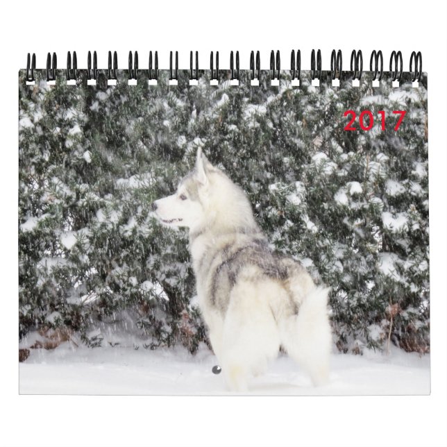 Calendrier Pour l'amour des chiens (Protection)