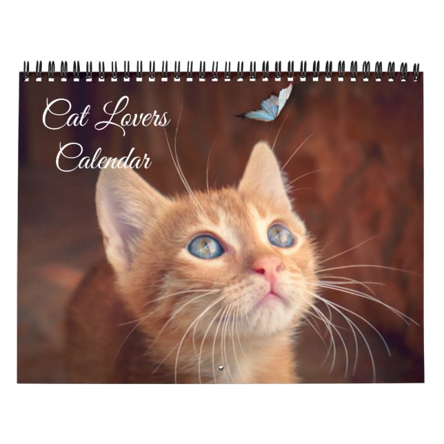 Calendrier pour les amoureux des chats (Protection)