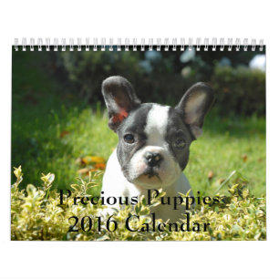 Calendrier précieux des chiots 2016
