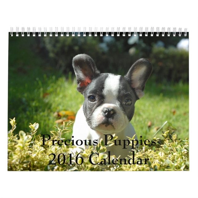 Calendrier précieux des chiots 2016 (Protection)