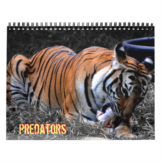 Calendrier Predator (Protection)