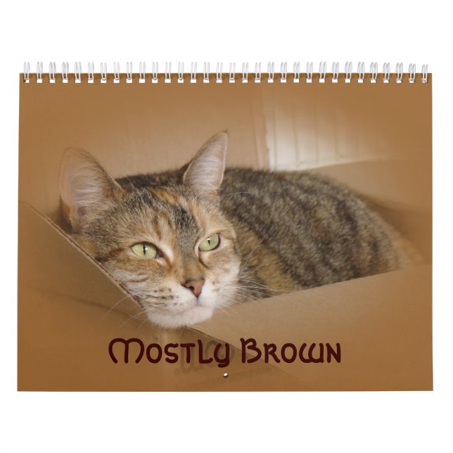 Calendrier - Principalement Brown (Protection)