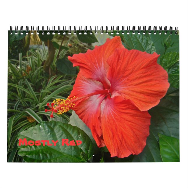 Calendrier - Principalement rouge (Protection)