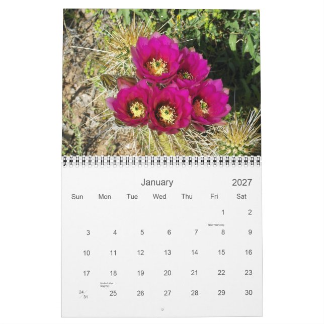 CALENDRIER PRINTEMPS DANS LE DÉSERT (Jan 2027)