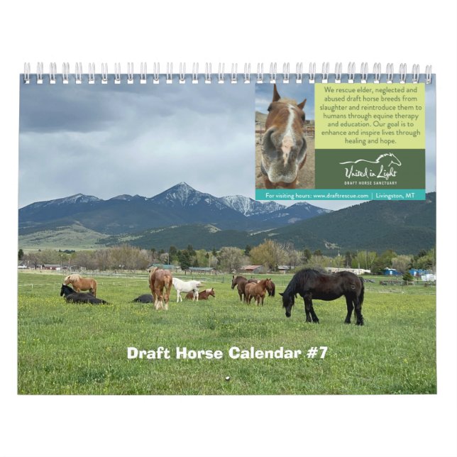 Calendrier provisoire des chevaux (Protection)