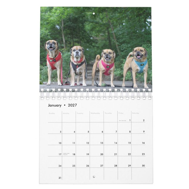 CALENDRIER PUGGLE 2020 (Jan 2027)