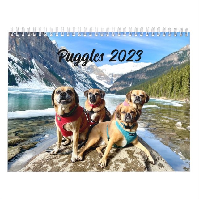 Calendrier Puggle 2023 (Protection)