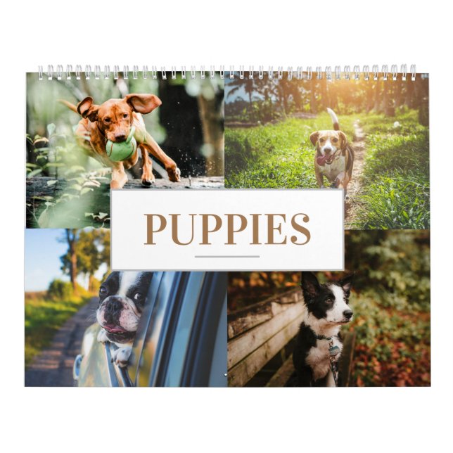 Calendrier Puppy Calendrier Accueil Wall Dog (Protection)
