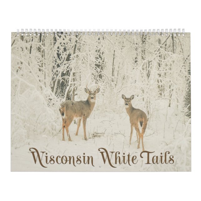 Calendrier Queues blanches du Wisconsin (Protection)