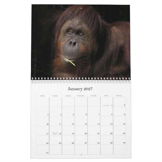Calendrier Qui s'inquiète s'il est saisonnier ? (Jan 2027)