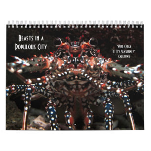 Calendrier Qui s'inquiète s'il est saisonnier ?