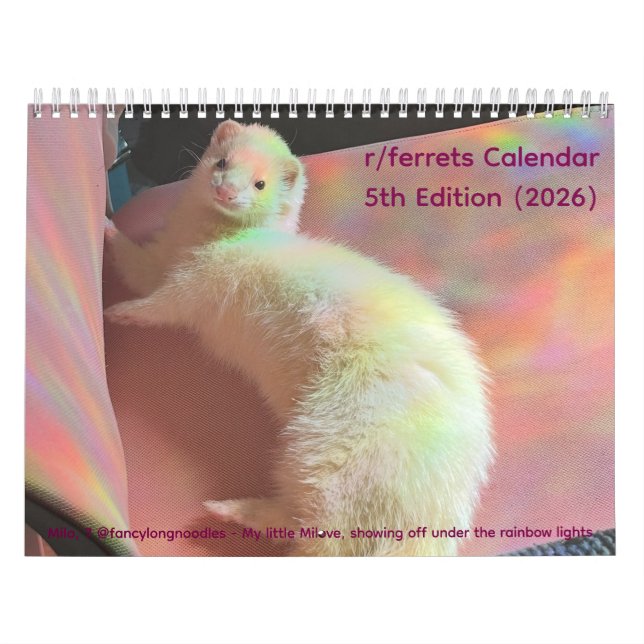 Calendrier r/ferrets 5e édition (2026) (Protection)