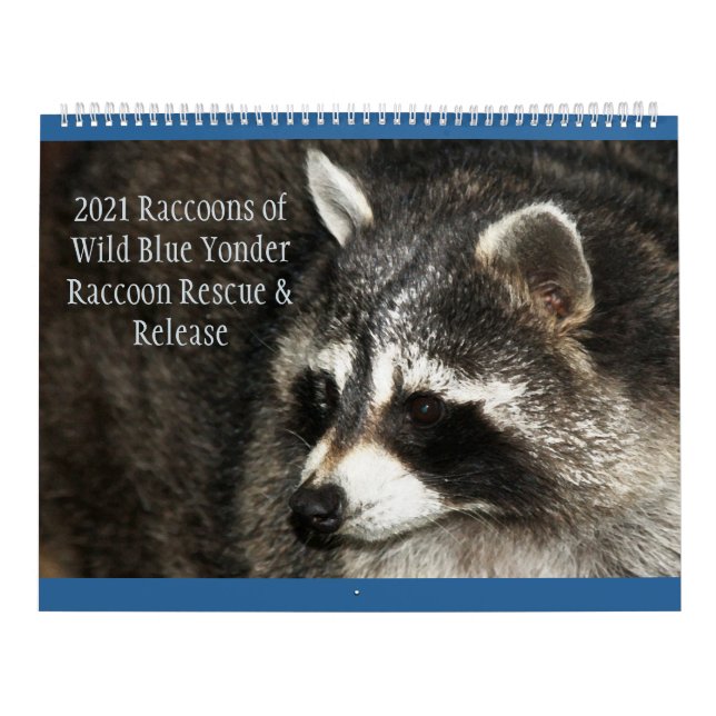 Calendrier Raccoon de Wild Blue Yonder 2021 (Protection)