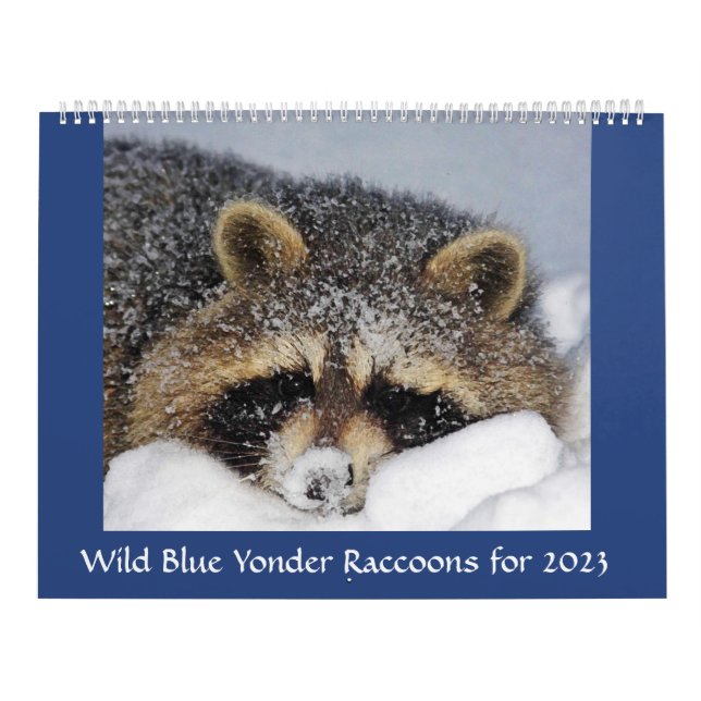 Calendrier Raccoon Secourt et sortie chez Wild Blue Yonder 20 (Protection)
