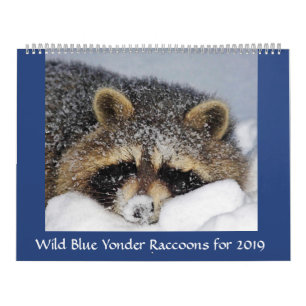 Calendrier Raccoon Secourt et sortie chez Wild Blue Yonder 20