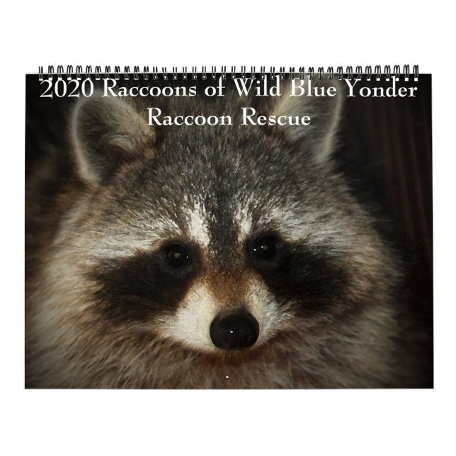 Calendrier Raccoons 2020 de Wild Blue Yonder Raccoon Secourt (Protection)