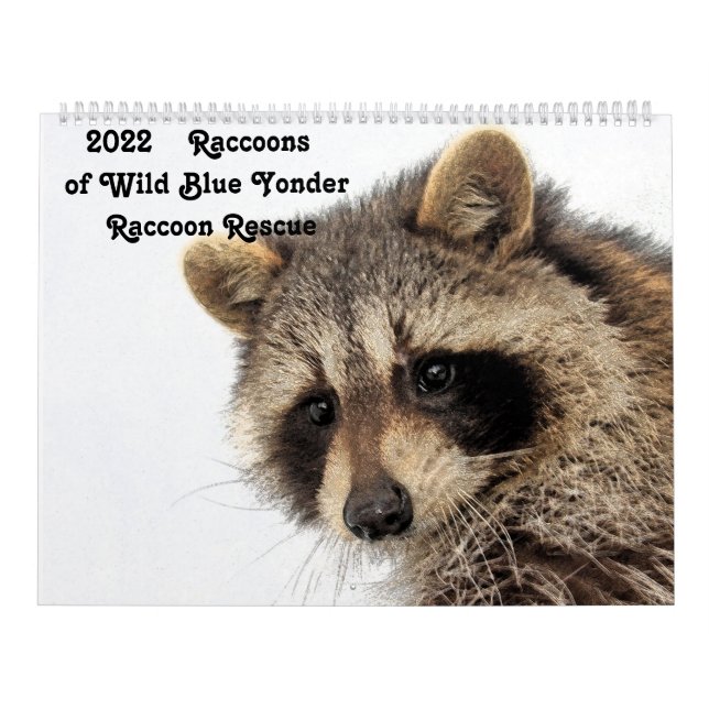 Calendrier Raccoons 2022 de Wild Blue Yonder Raccoon Secourt (Protection)
