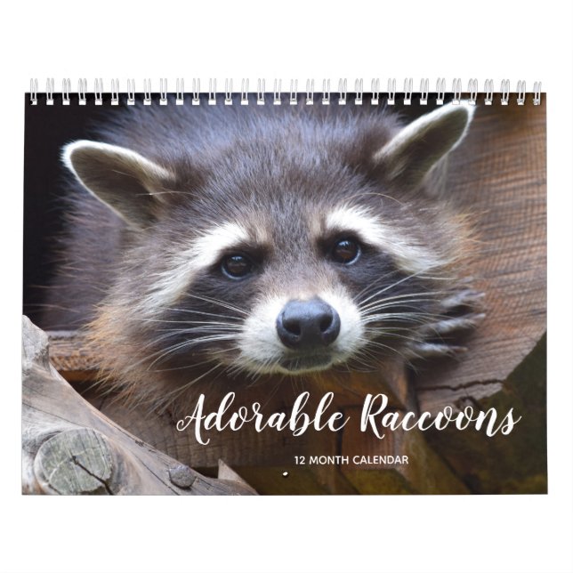 Calendrier Raccoons adorables 2026 (Protection)