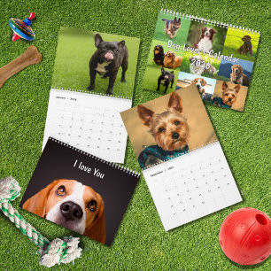 Calendrier Races de chiens 2026 Amoureux des chiens populai