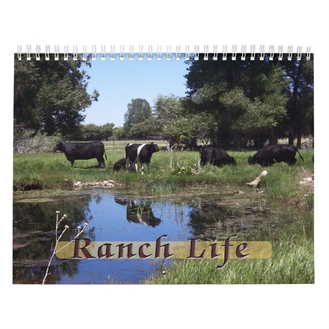 Calendrier Ranch Life - Bétail (Protection)