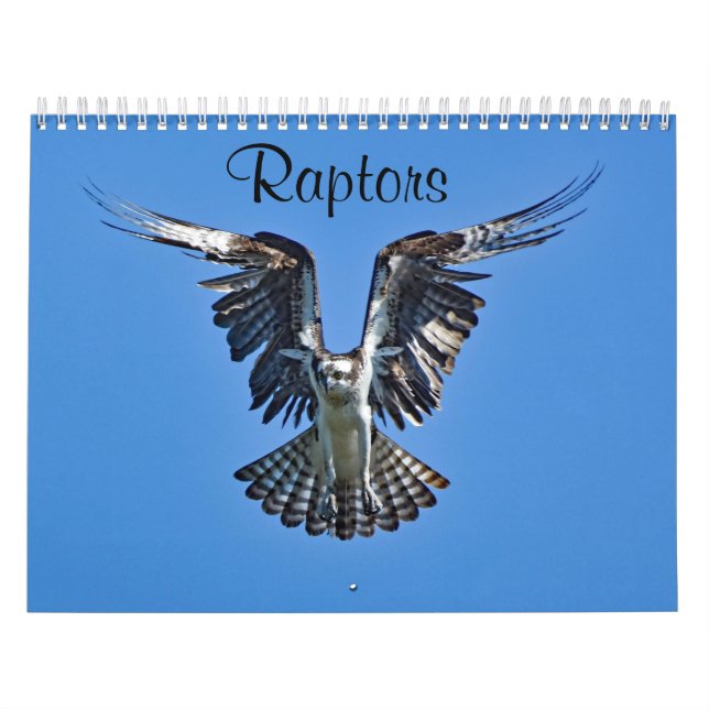 Calendrier Rapporteurs (Protection)