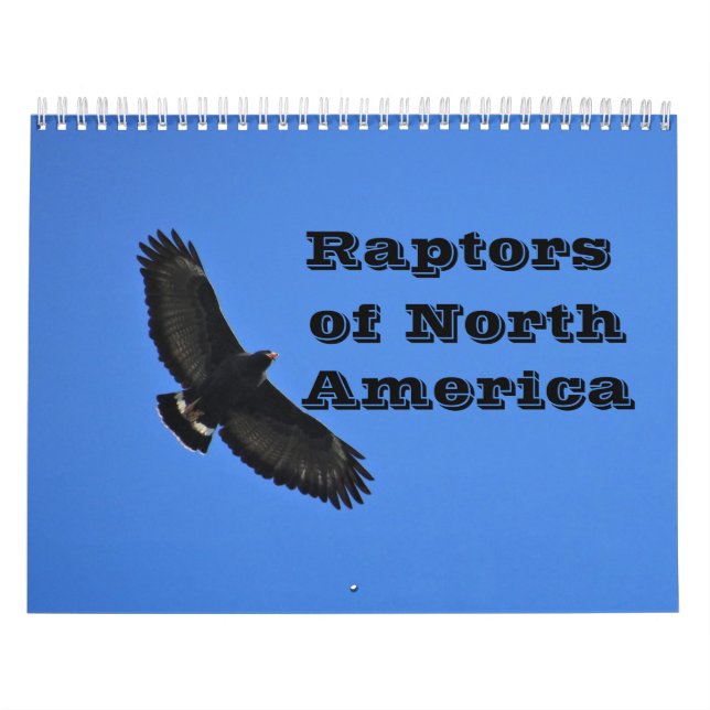 Calendrier - Raptors (oiseaux de proie) d'Amérique (Protection)