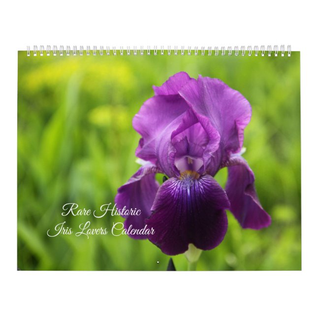 Calendrier Rare Historique Iris Lovers (Protection)