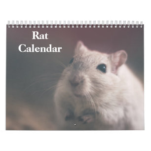 Calendrier Rat 2025