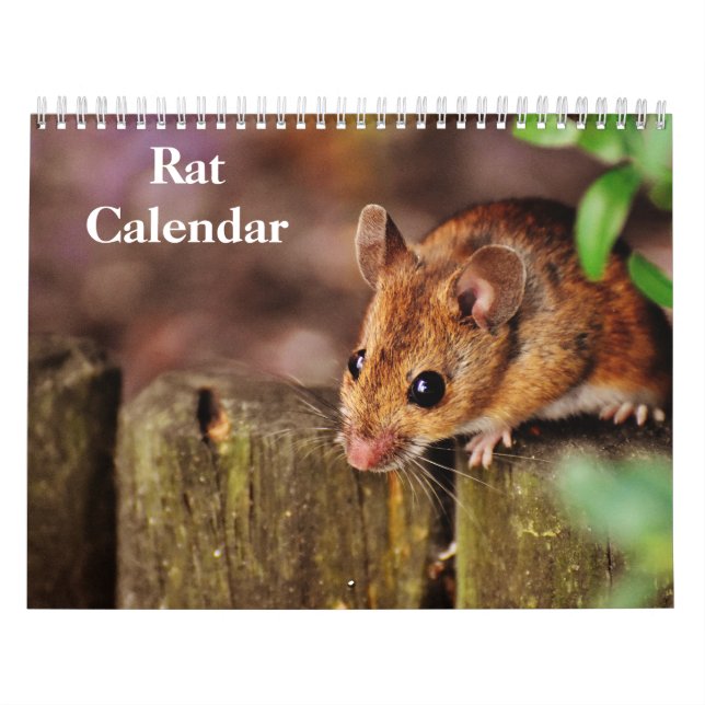 Calendrier Rat 2026 (Protection)