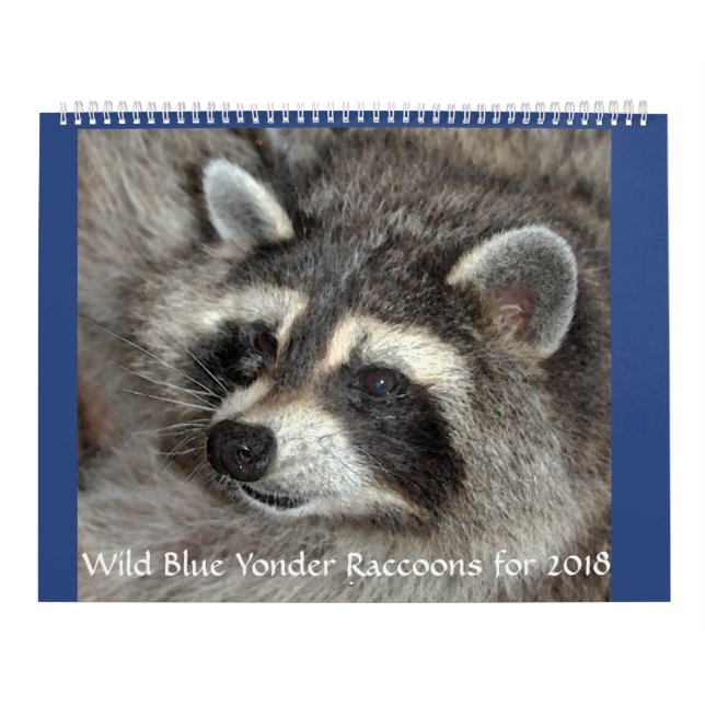 Calendrier Raton laveur bleu sauvage de 2018 (Protection)