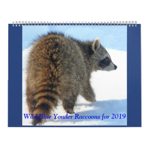 Calendrier Raton laveur bleu sauvage de 2019
