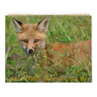 Calendrier Red Fox par Angel Cher