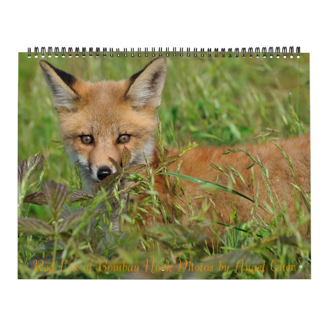 Calendrier Red Fox par Angel Cher (Protection)