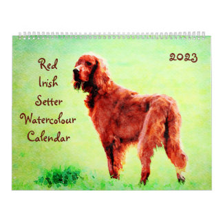 Calendrier Red Irish Setter Chien race propriétaire Lover cad