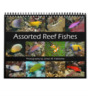 Calendrier Reef Fishes Wall Calendar 1 de J.W. Patrie