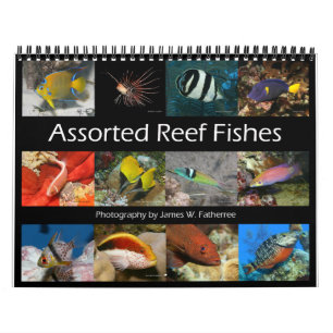 Calendrier Reef Fishes Wall Calendar 2 de J.W. Patrie