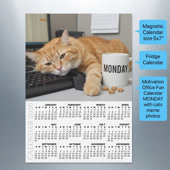 Calendrier Réfrigérateur Chat de Bureau 2026, Moti (Motivational Fridge Calendar 2026 / Office Cats / Magnetic)