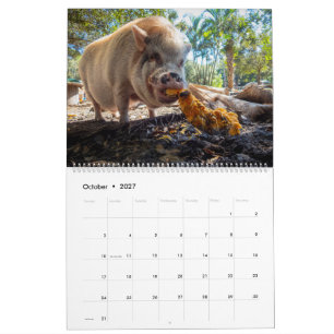 Calendrier Refuge de Peace Farm 2027
