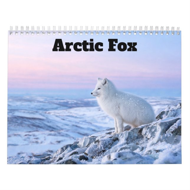 Calendrier Renard Arctique 2027 (Protection)