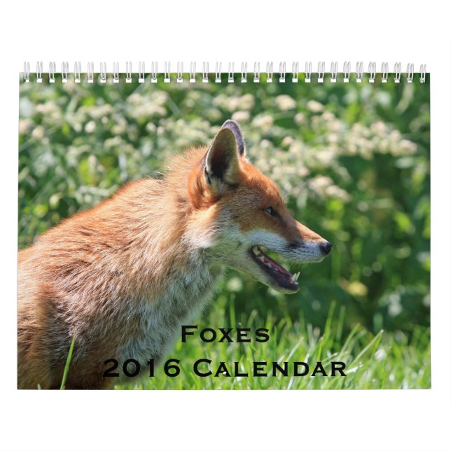 Calendrier Renards 2016 (Protection)