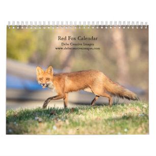 Calendrier Renards roux 2027 Photographie de faune forestiè