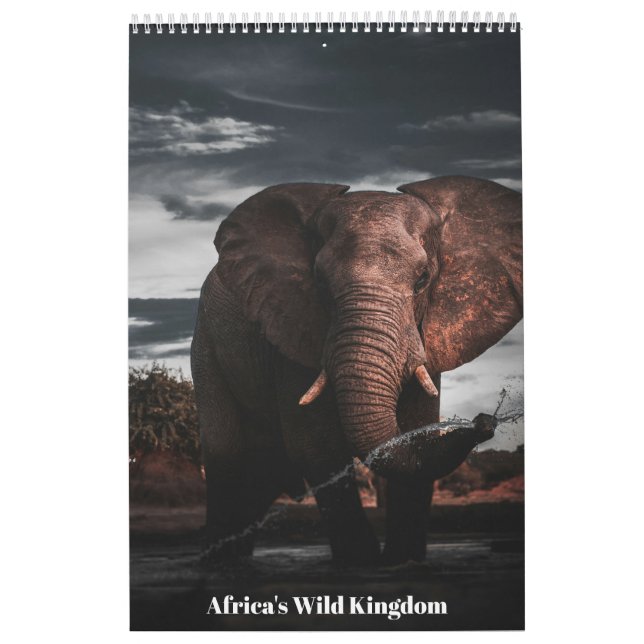 Calendrier Rencontres dans le Royaume Sauvage de l'Afrique, C (Protection)