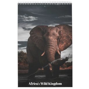 Calendrier Rencontres dans le Royaume Sauvage de l'Afrique, C
