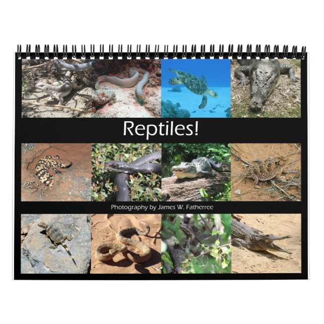 Calendrier Reptiles Wall Calendar de J.W. Patrie. (Protection)
