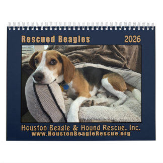 Calendrier Rescued Beagles 2026 Wall Calendar