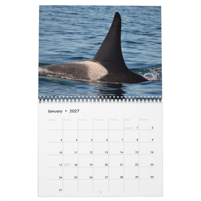 Calendrier résident du sud d'épaulard 2015 (Jan 2027)