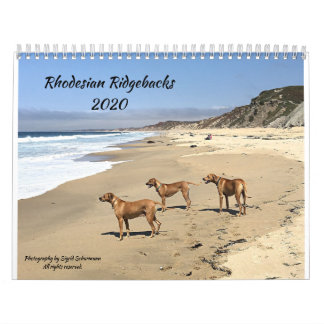 Calendrier Rhodesian Ridgeback 2020