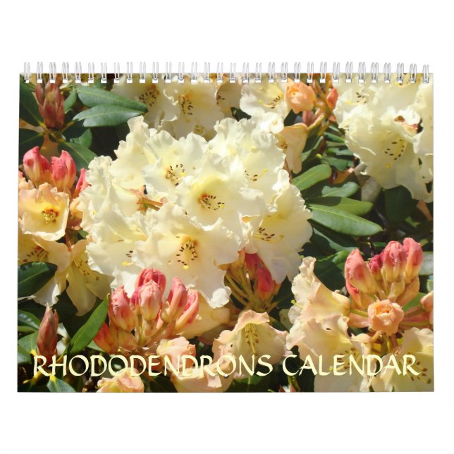 CALENDRIER Rhodies Calendriers Rhododendrons (Protection)